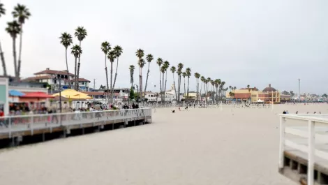 Santacruz