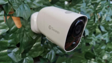 Swann xtreem 00