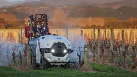 Prospr spraying in nz vineyard